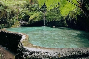 Bali: Jungle Cart Ride and Adventure ATV/Rafting
