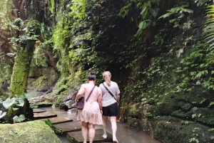 Bali: Jungle & Heritage Warking Tour in Ubud