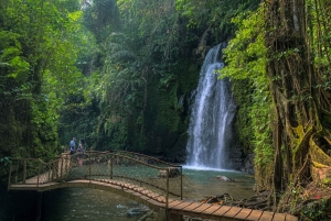 Bali: Jungle & Heritage Warking Tour in Ubud