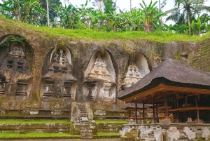 Bali: Jungle & Heritage Warking Tour in Ubud