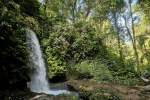 Bali: Jungle & Heritage Warking Tour in Ubud