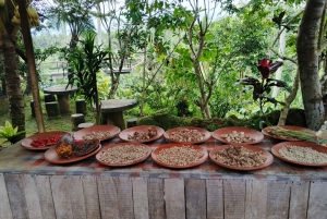 Bali: Jungle & Heritage Warking Tour in Ubud