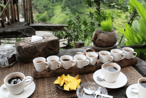 Bali: Jungle & Heritage Warking Tour in Ubud