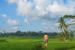 Bali: Jungle & Heritage Warking Tour in Ubud