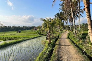 Bali: Jungle & Heritage Warking Tour in Ubud