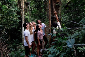 Bali: Jungle Trek and River Rafting with Lunch