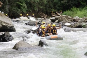 Bali: Jungle Trek and River Rafting with Lunch