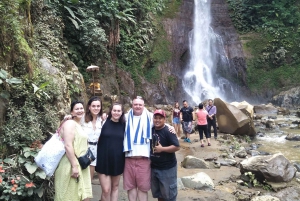 Bali : Cascada en la selva persigue tu sueño tour privado