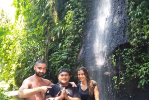 Bali : Cascada en la selva persigue tu sueño tour privado