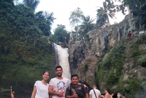 Bali : Cascada en la selva persigue tu sueño tour privado