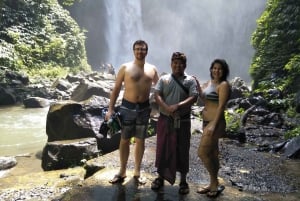 Bali : Cascada en la selva persigue tu sueño tour privado