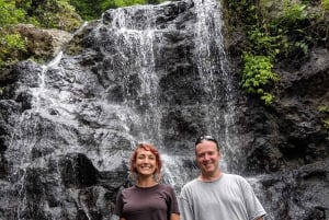 Bali : Cascada en la selva persigue tu sueño tour privado