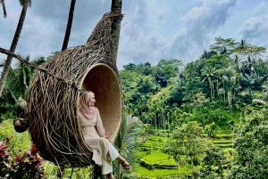 Bali: Kanto Lampo Waterfall, Swing & Monkey Forest Day-Trip
