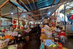 Bali: Karangasem Royal Heritage & Local Market Tour