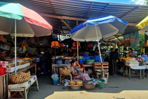 Bali: Karangasem Royal Heritage & Local Market Tour