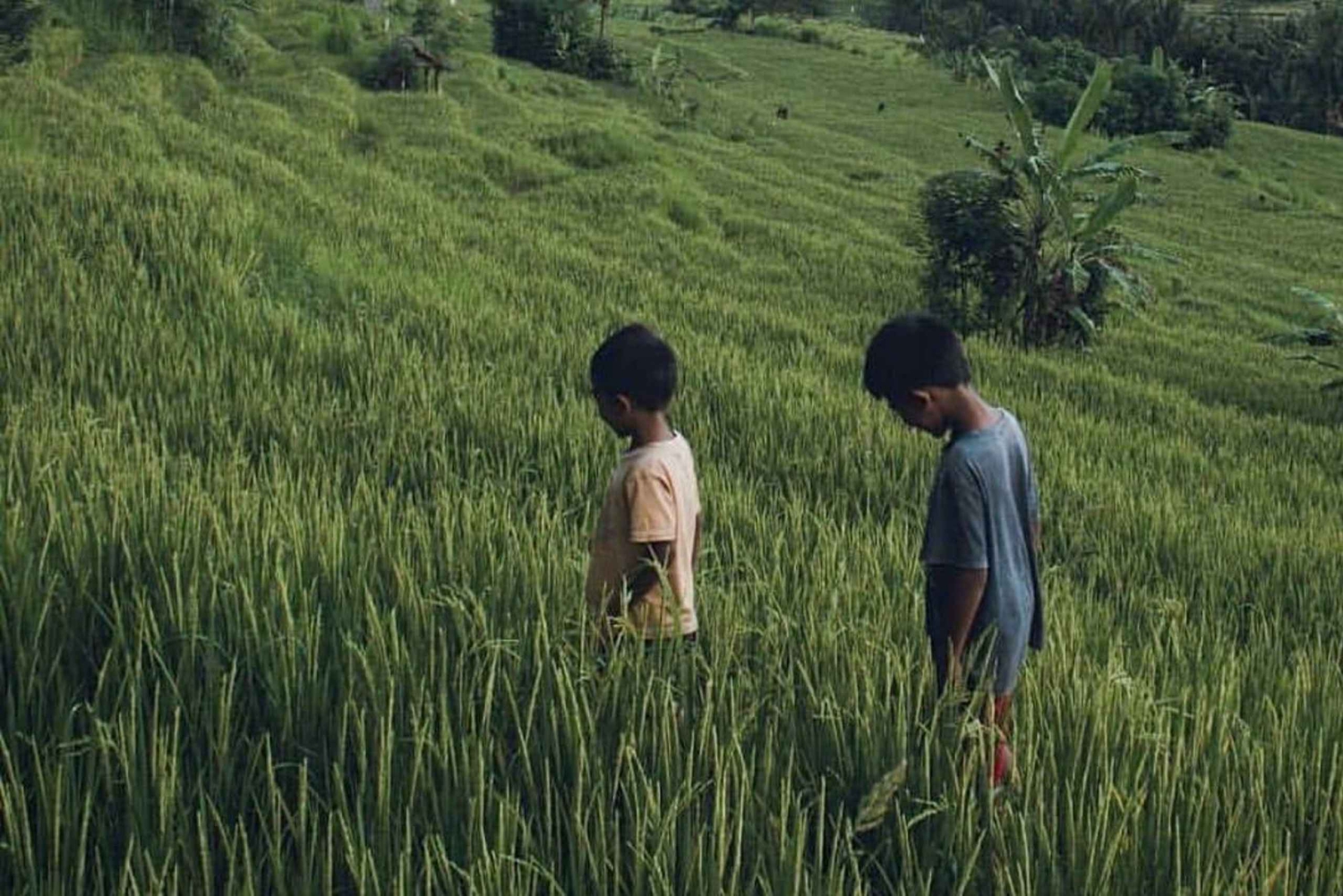 Bali: Kastala risterrass, Tenganan vandring och Virgin Beach