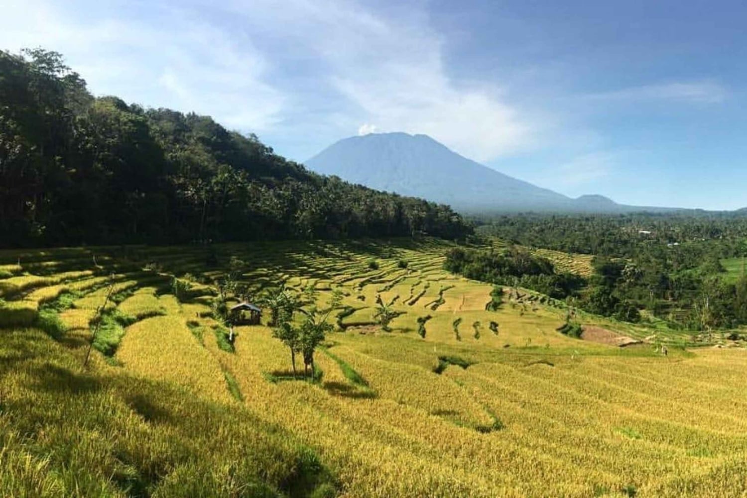 Bali: Kastala Rice Terrace, Tenganan Trekking & Virgin Beach
