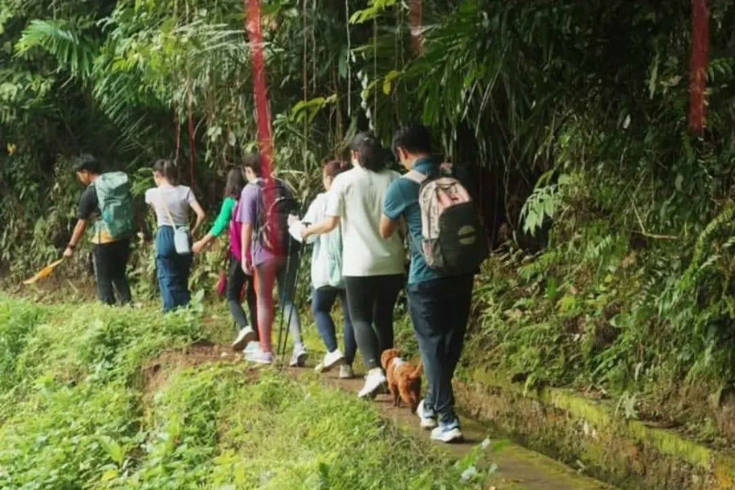 Bali: Kastala Rice Terrace, Tenganan Trekking & Virgin Beach