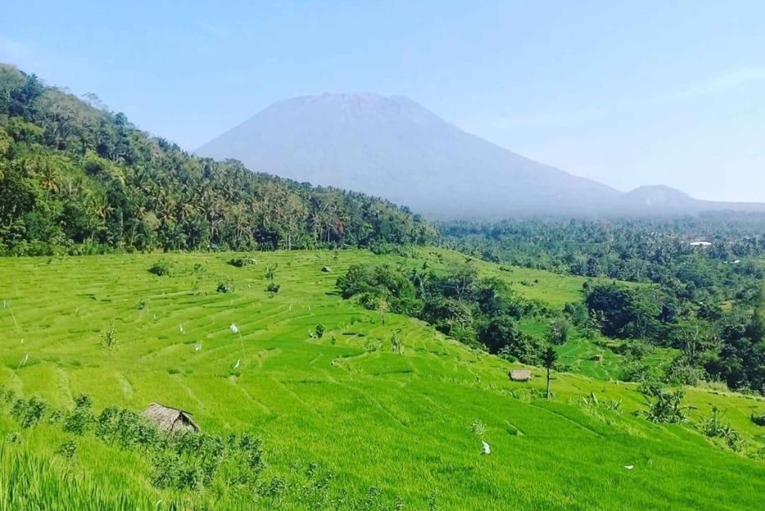 Bali: Kastala Rice Terrace, Tenganan Trekking & Virgin Beach