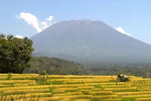 Bali: Kastala risterrass, Tenganan vandring och Virgin Beach