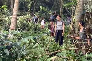 Bali: Kastala risterrass, Tenganan vandring och Virgin Beach