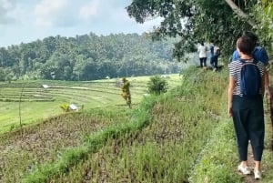 Bali: Kastala risterrass, Tenganan vandring och Virgin Beach