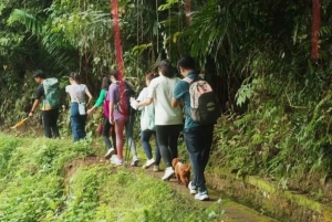 Bali: Kastala Rice Terrace, Tenganan Trekking & Virgin Beach