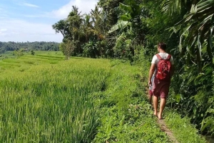 Bali: Kastala Rice Terrace, Tenganan Trekking & Virgin Beach