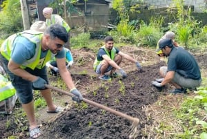 Bali: Kedisan Sustainable Farming and Nature Tour