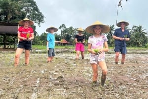 Bali: Kedisan – zrównoważone rolnictwo i wycieczka przyrodnicza