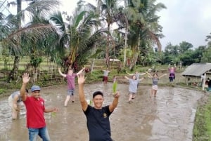 Bali: Kedisan – zrównoważone rolnictwo i wycieczka przyrodnicza