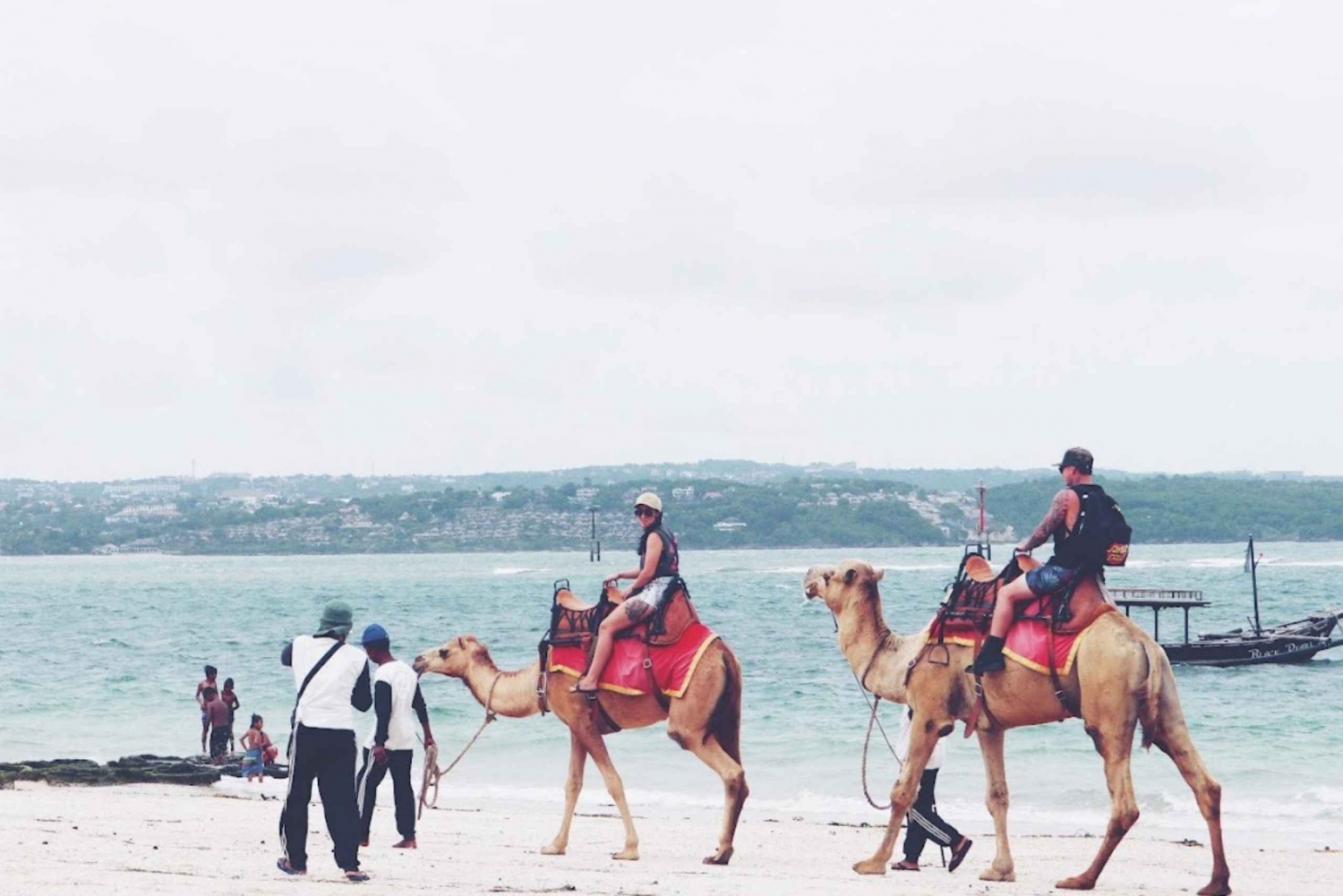 Bali: Kelan Beach Camel Rides Experiences