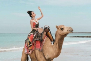 Bali: Giri in cammello sulla spiaggia di Kelan