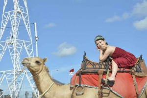 Bali: Opplevelser på kamelritt på Kelan Beach