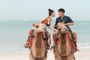 Bali: Experiências de passeios de camelo em Kelan Beach