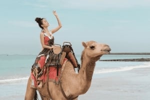Bali: Experiências de passeios de camelo em Kelan Beach