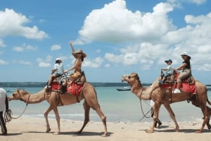 Bali: Experiências de passeios de camelo em Kelan Beach