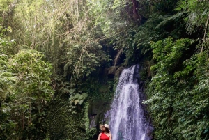 Bali: Kintamani Cafe, Waterfall, Temple and Cretya Ubud Tour