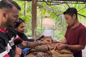 Bali: Kintamani Cafe, Waterfall, Temple and Cretya Ubud Tour