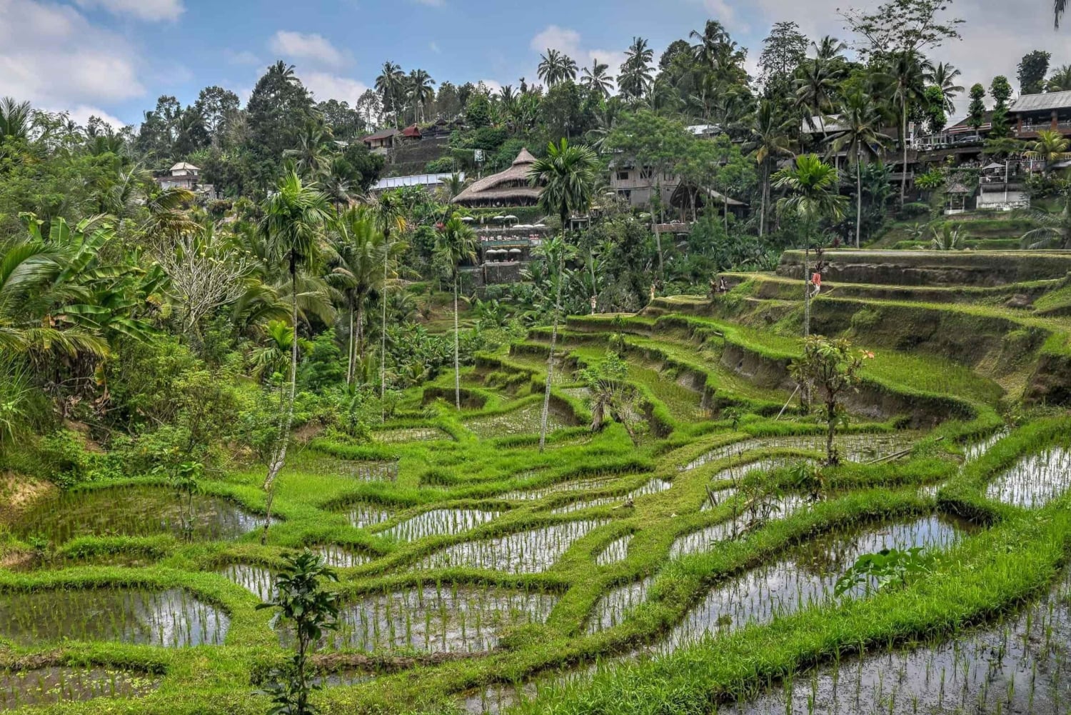 Bali: Kintamani Luxury Private Day Tour with all Tickets