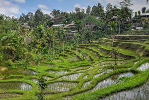 Bali: Kintamani Luxury Private Day Tour with all Tickets
