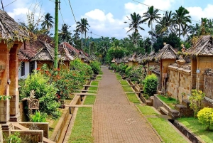 Bali: Kintamani Luxury Private Day Tour with all Tickets