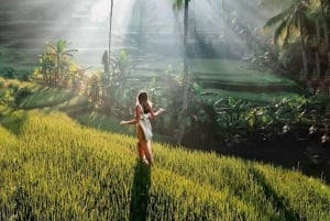 Bali: Kintamani Sunrise Cafe, Waterfalls & Coffee Plantation