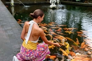 Bali: Kintamani Sunrise Cafe, Waterfalls & Coffee Plantation