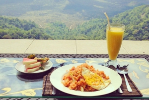 Bali: Self Purification include Mount Batur Lake View Lunch