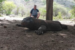 Bali: Komodo Island Guided Day Trip with Lunch and Snacks