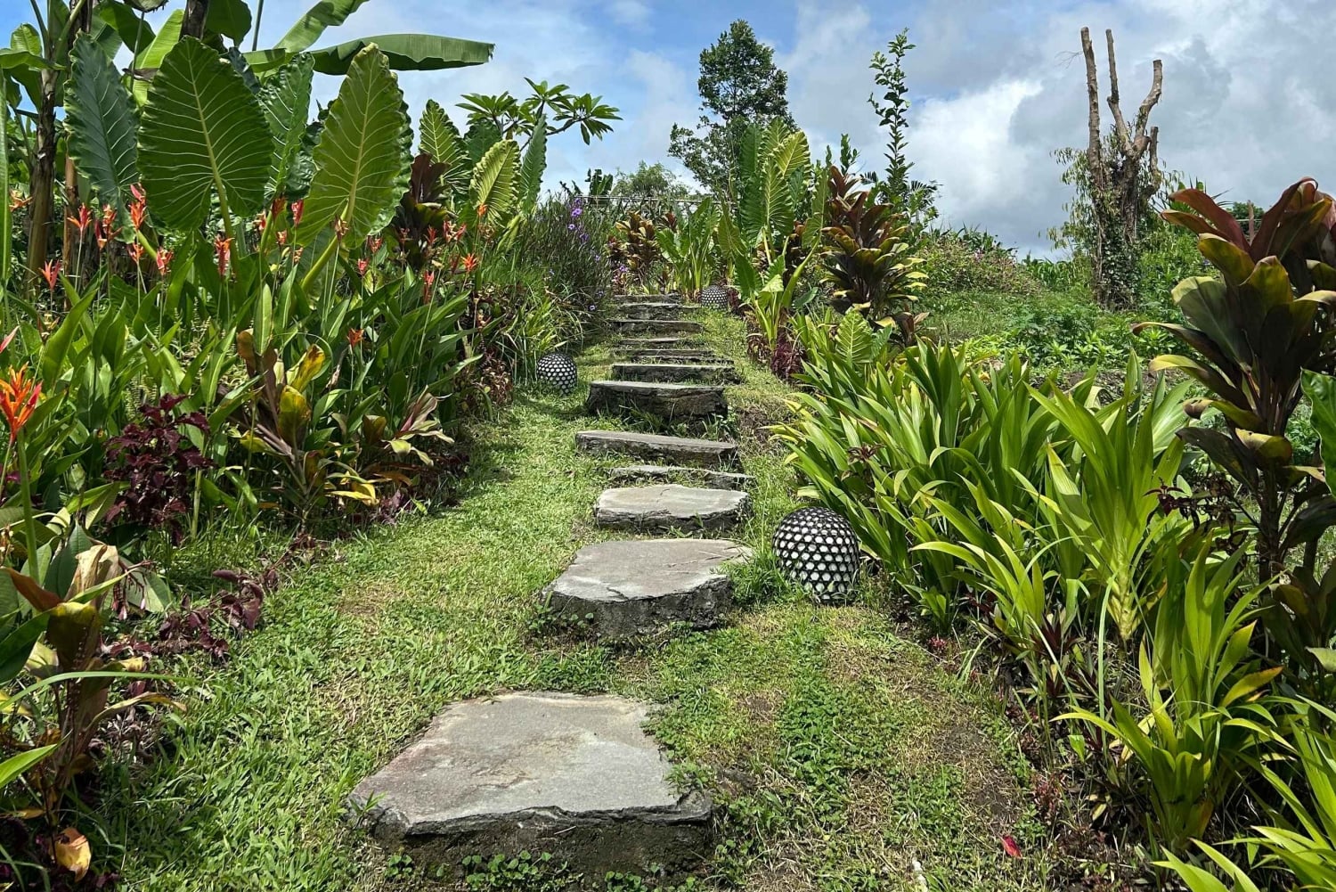 Bali: Kundalini Yoga & Sound Healing-sessie
