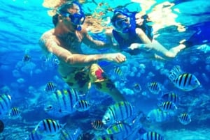 バリ島：ラブハン・アムクでシュノーケリング＆ブラングシンガ滝ツアー