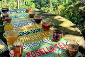 Bali: Legendary Battle of Good & Evil, Temples and Waterfall