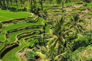 Bali: Legendary Battle of Good & Evil, Temples and Waterfall